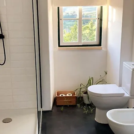 A Casa Da Monstera Holiday home Aldeia Galega da Merceana e Aldeia Gavinha